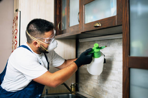 Best Cockroach Control Services  in Beverly Hills, MI