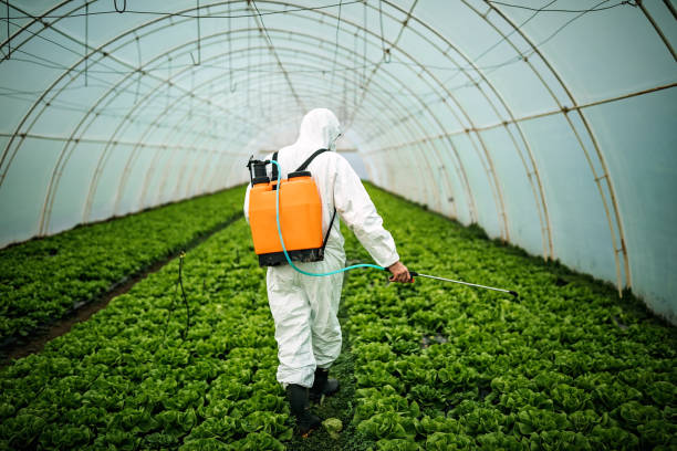 Best Pest Inspection Near Me  in Beverly Hills, MI
