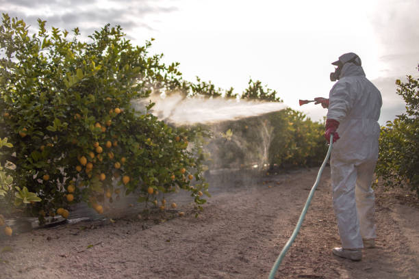 Best Termite Control Services  in Beverly Hills, MI