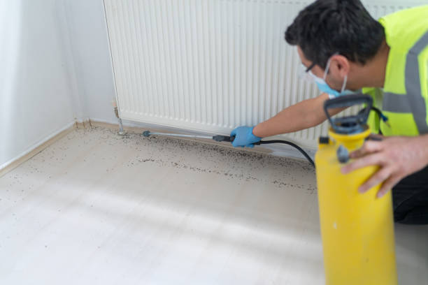 Best Termite Control Services  in Beverly Hills, MI