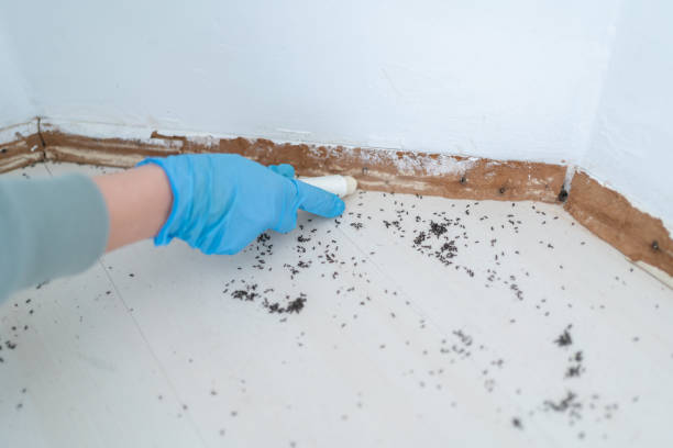 Best Pest Removal Services  in Beverly Hills, MI