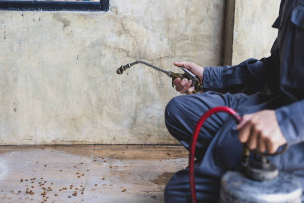 Best Wasp Removal Services  in Beverly Hills, MI