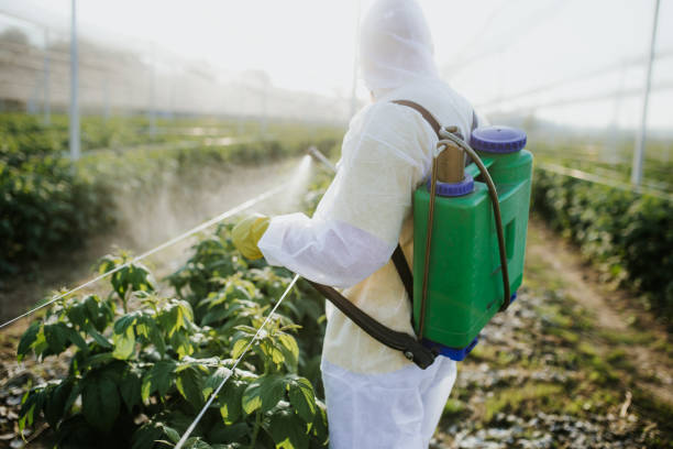 Best Bed Bug Extermination  in Beverly Hills, MI